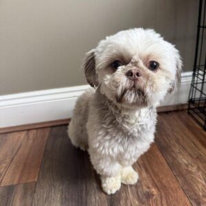 Max