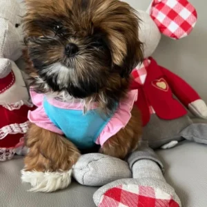 Lila