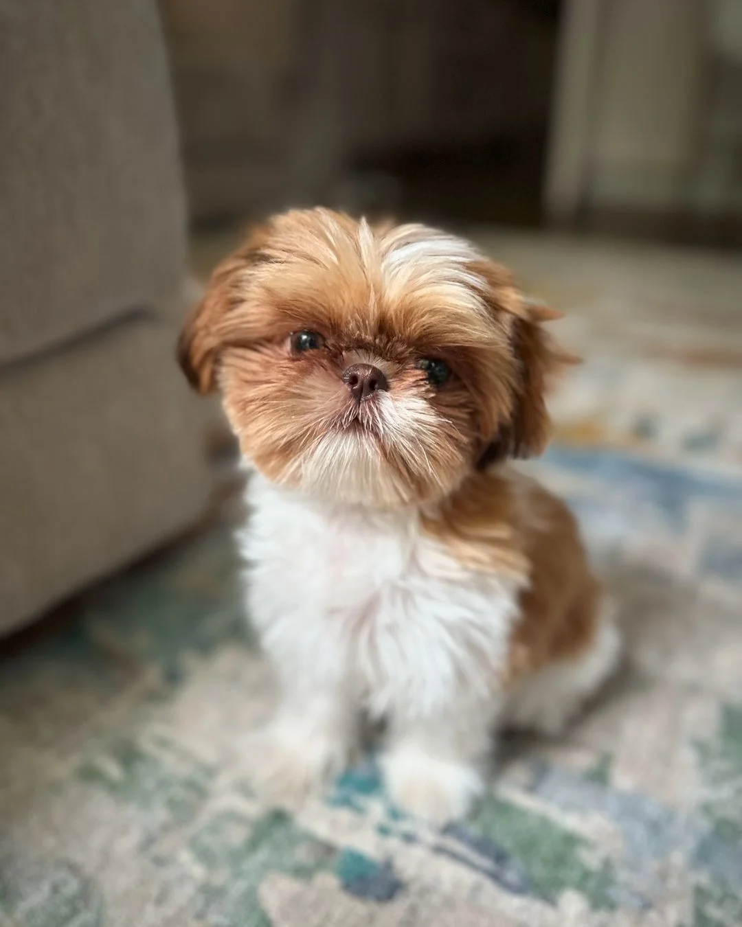 Penny